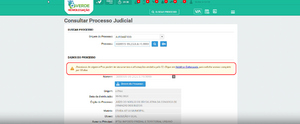 Habilitar defensoria eproc consulta processo.png