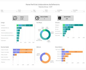 Painel Perfil Colaboradores da Defensoria.jpeg